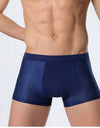 Ice silk men's underwear mesh boxer