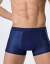Ice silk men's underwear mesh boxer