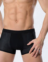 Ice silk men's underwear mesh boxer