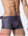 Ice silk men's underwear mesh boxer