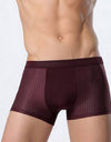 Ice silk men's underwear mesh boxer