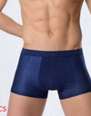 Ice silk men's underwear mesh boxer